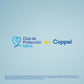 Catálogo Coppel Página 4