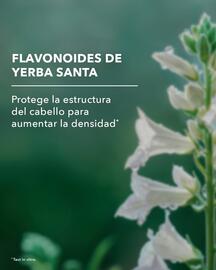 Catálogo Yves Rocher Página 2