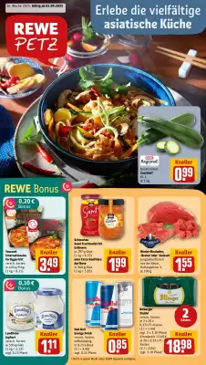 REWE PETZ Prospekt (gültig bis 6-09)