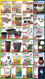Wreesmann Prospekt woche 36 Seite 2