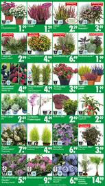 Wreesmann Prospekt woche 36 Seite 3