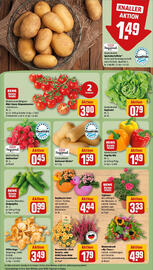 REWE Prospekt woche 36 Seite 9