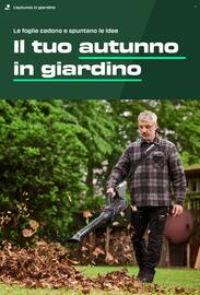 Volantino Lidl Pagina 4