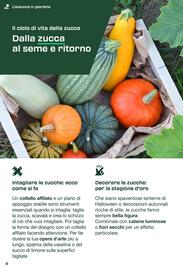 Volantino Lidl Pagina 8