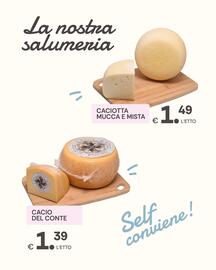 Volantino Centro Carne settimana 35 Pagina 3