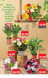 Catalog Kaufland săptămâna 36 Pagină 21