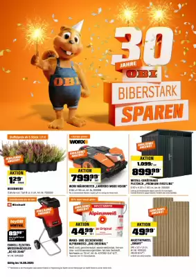 OBI Flugblatt (gültig bis 1-10)