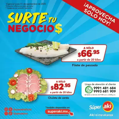 Catálogo Super Aki (válido hasta 1-09)
