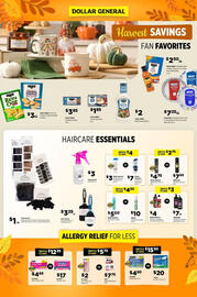 Dollar General Weekly Ad Page 1