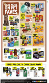 Dollar General Weekly Ad Page 12