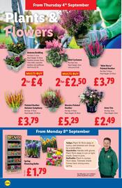 Lidl leaflet week 36 Page 24