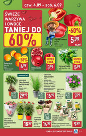 ALDI gazetka tydzień 36 Strona 29
