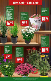 ALDI gazetka Strona 2
