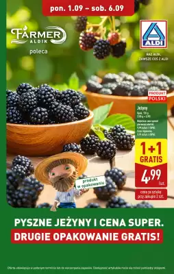 ALDI gazetka (ważność do 6-09)