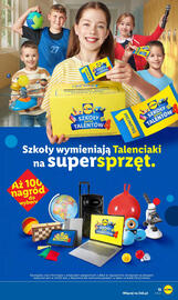 Lidl gazetka Strona 17