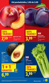 Lidl gazetka Strona 19