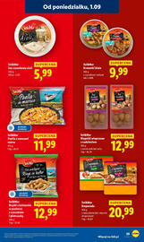 Lidl gazetka Strona 33