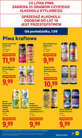 Lidl gazetka Strona 43