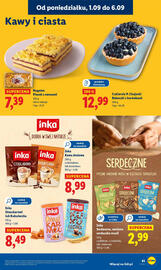 Lidl gazetka Strona 47