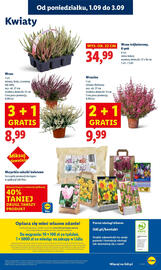 Lidl gazetka Strona 57