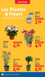 Catalogue Lidl semaine 36 page 30