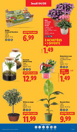 Catalogue Lidl semaine 36 page 31