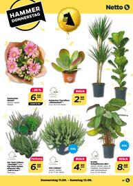 NETTO Prospekt woche 37 Seite 31