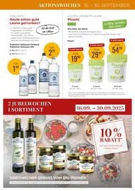 Martin Reformstark Flugblatt Seite 11