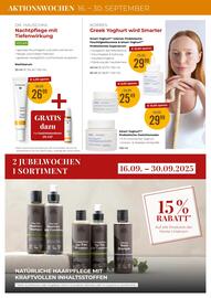 Martin Reformstark Flugblatt Seite 14