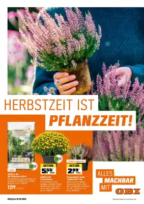 OBI Prospekt (gültig bis 18-10)