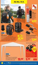 Lidl Prospekt woche 38 Seite 8