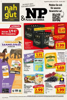 NP Discount Prospekt (gültig bis 6-09)