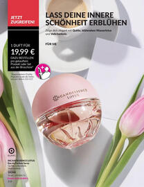 Avon Prospekt Seite 118