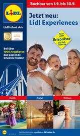 Lidl Prospekt Seite 1