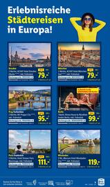 Lidl Prospekt Seite 13