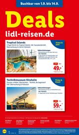 Lidl Prospekt Seite 6