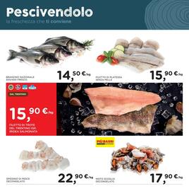 Volantino Poli Pagina 13