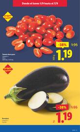 Folleto Lidl semana 36 Página 29