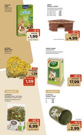 Zoo & Co Prospekt woche 36 Seite 10