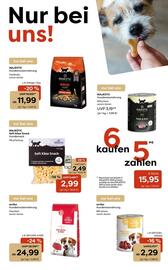 Zoo & Co Prospekt woche 36 Seite 3