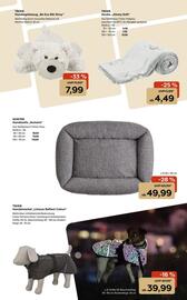 Zoo & Co Prospekt woche 36 Seite 5