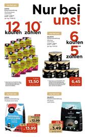 Zoo & Co Prospekt woche 36 Seite 6