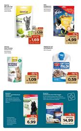 Zoo & Co Prospekt woche 36 Seite 8