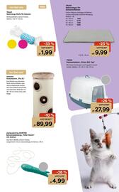 Zoo & Co Prospekt woche 36 Seite 9