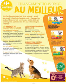 Catalogue Carrefour | goûtez-moi ça page 17