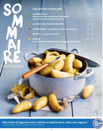 Catalogue Carrefour | goûtez-moi ça page 3
