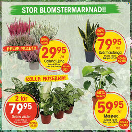 EKO reklamblad Sida 1