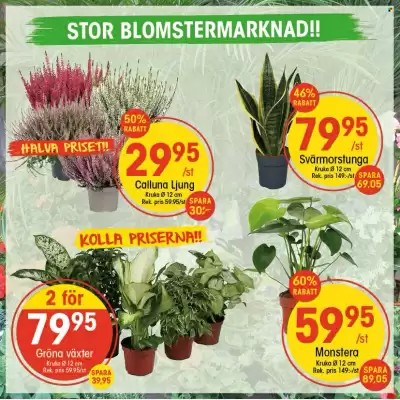 EKO reklamblad (giltig till och med 7-09)