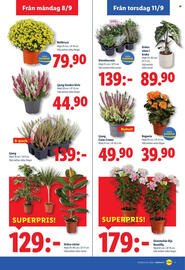 Lidl reklamblad vecka 37 Sida 19