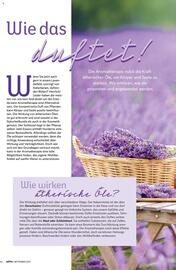 Combi folder Pagina 64